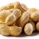 Открыт новый способ борьбы с аллергией на арахис