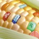 Новое исследование подтвердило вред ГМО