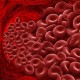 Когда требуется повышение гемоглобина?