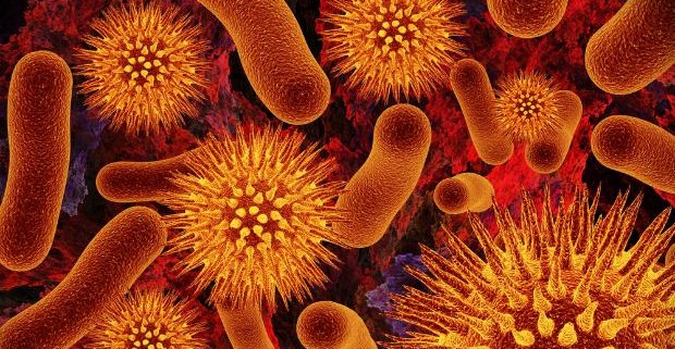 К 2050 году непобедимые бактерии станут опаснее рака