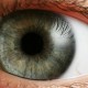 Клетки сетчатки глаза распечатали на принтере британские ученые