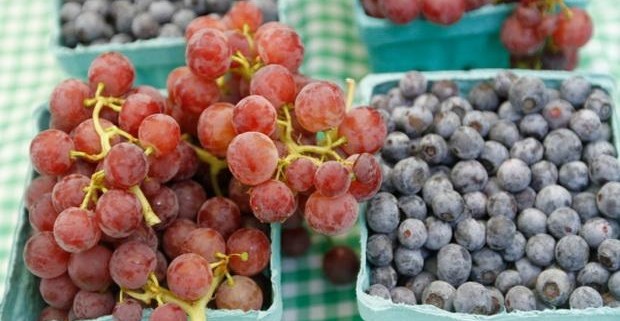 Ученые: виноград и черника укрепляют иммунную систему