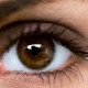 Ученые из США намерены провести тесты над лекарством от слепоты