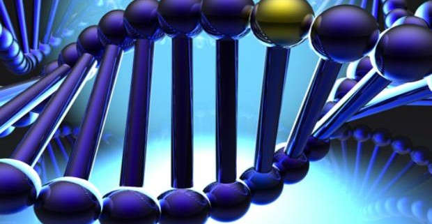 Учеными открыт ген гениальности