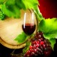 Ученые доказали омолаживающий эффект красного вина