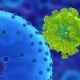ВИЧ заражает клетки при помощи «белка-невидимки»