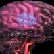 Черепно-мозговые травмы повышают риск инсульта