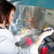 Определен биомаркер для прогнозирования риска иммунного ответа после трансплантации стволовых клеток