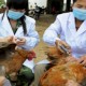 Китайскими учеными разработана вакцина против гриппа H7N9