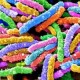 Ученые открыли новый вид плотоядных бактерий