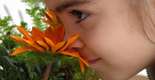Человеческий нос различает до триллиона запахов
