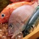 Рыбный белок снижает аппетит