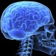 «Трепанация» черепа в семь раз ускоряет работу мозга, выяснили ученые