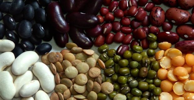 Соя и чечевица помогут продлить жизнь при болезнях почек