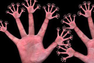 Длина пальцев рук и агрессия