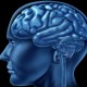 Причиной шизофрении являются «генетические паразиты» в клетках мозга
