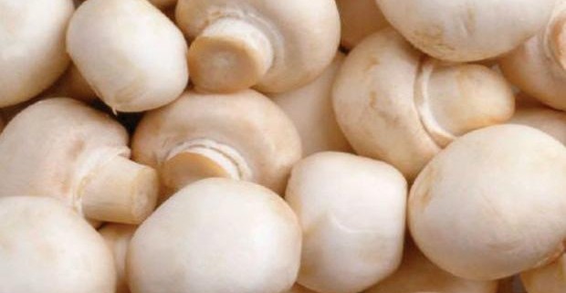От рака защитит недорогой продукт