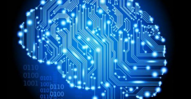Ученые развеяли миф об использовании только 10% мозга