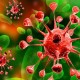 В организме здоровых людей имеется не менее пяти вирусов