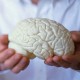 Ученые разрабатывают симулятор человеческого мозга