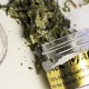 Синтетическая марихуана – что следует о ней знать