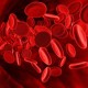 Болезни, вызывающие нарушение уровня гемоглобина в крови
