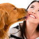 Поцелуи с собаками укрепляют здоровье человека