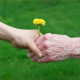 Пожилые люди более доверчивые и счастливые