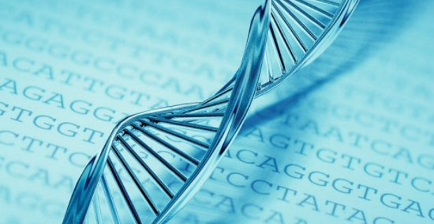 Томскими медиками выявлен ген, влияющий умственную отсталость
