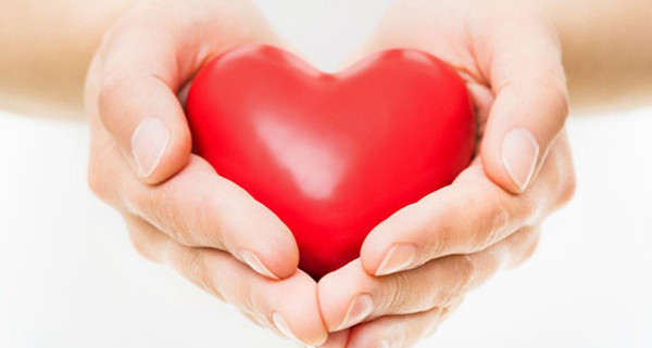 Медики смогут регенерировать сердце человека после инфаркта