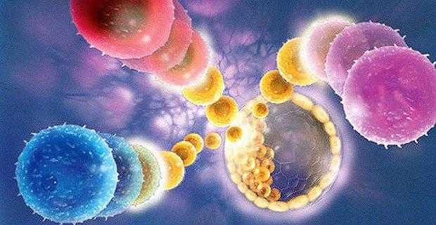 Стволовые клетки помогут победить диабет второго типа