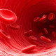 Учеными из Канады создана универсальная группа крови
