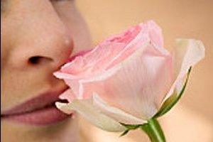 Роза и нос